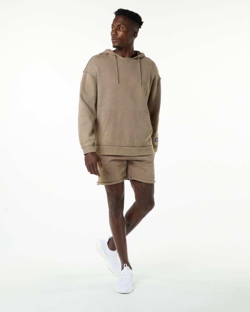 Sweat a Capuche Alphalete Very Terry Hoodie Smokey Quartz Homme | RSI-31207263