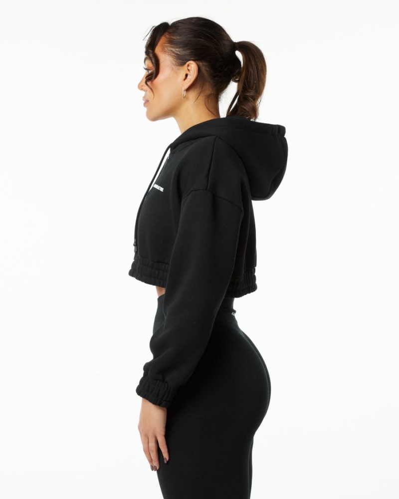 Sweat a Capuche Alphalete Classiche Capital Crop Hoodie Noir Femme | YPM-43012679