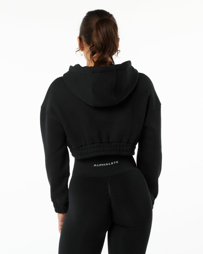 Sweat a Capuche Alphalete Classiche Capital Crop Hoodie Noir Femme | YPM-43012679