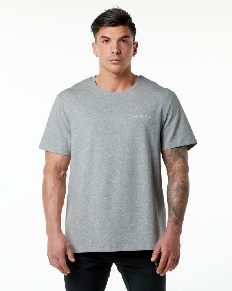 Chemises Alphalete Classiche Tee Grise Homme | IIT-27641916