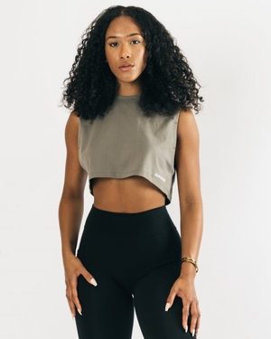 Debardeur Alphalete Heavy Coton Cropped Cutoff Concrete Femme | PFW-24598210