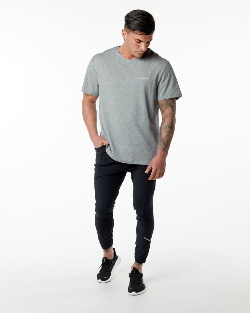 Chemises Alphalete Classiche Tee Grise Homme | IIT-27641916