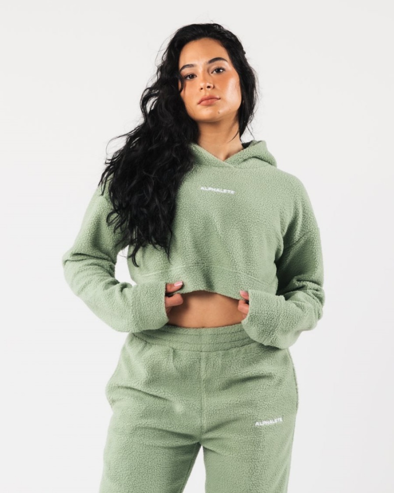 Sweat a Capuche Alphalete King Crop Hoodie Sage Femme | BIJ-77490075