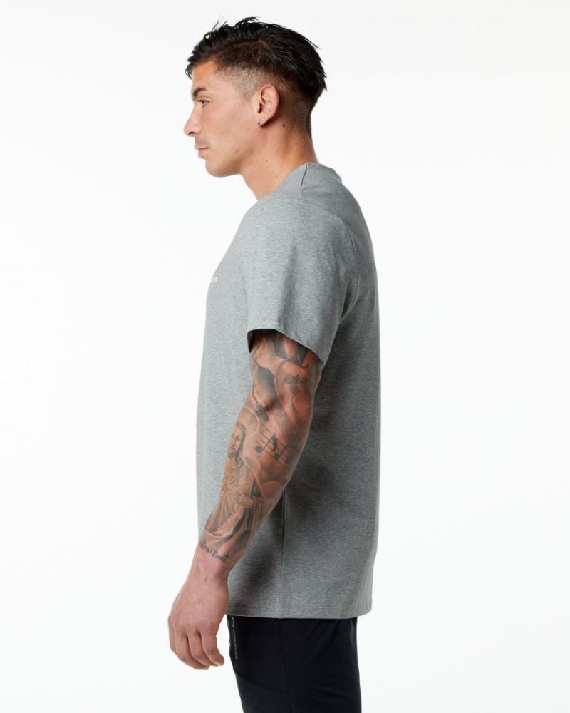 Chemises Alphalete Classiche Tee Grise Homme | IIT-27641916