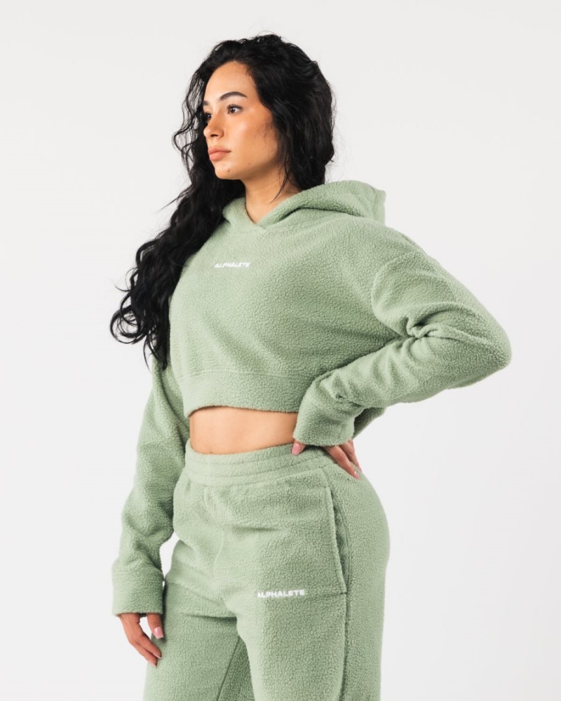 Sweat a Capuche Alphalete King Crop Hoodie Sage Femme | BIJ-77490075