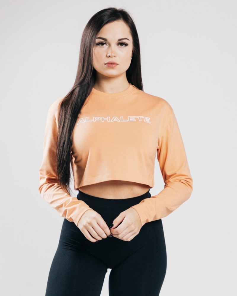 Manches Longues Alphalete Outlined Long Sleeve Crop Orange Femme | ALR-25302766