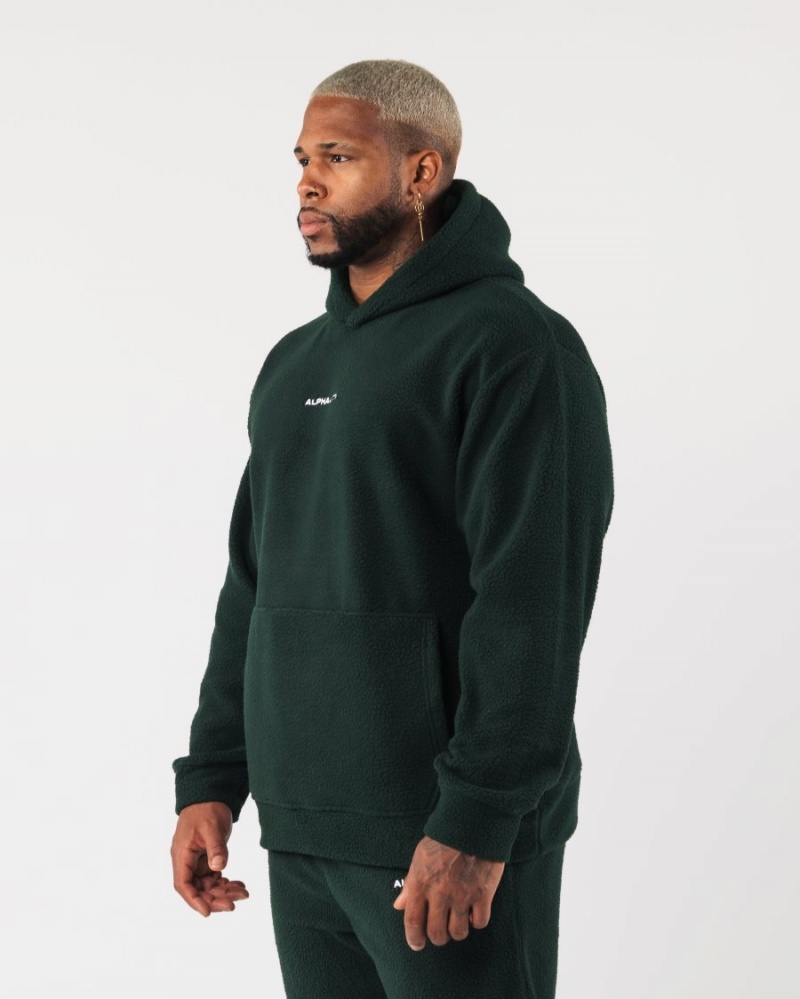 Sweat a Capuche Alphalete King Hoodie Evergreen Homme | FEO-92882294