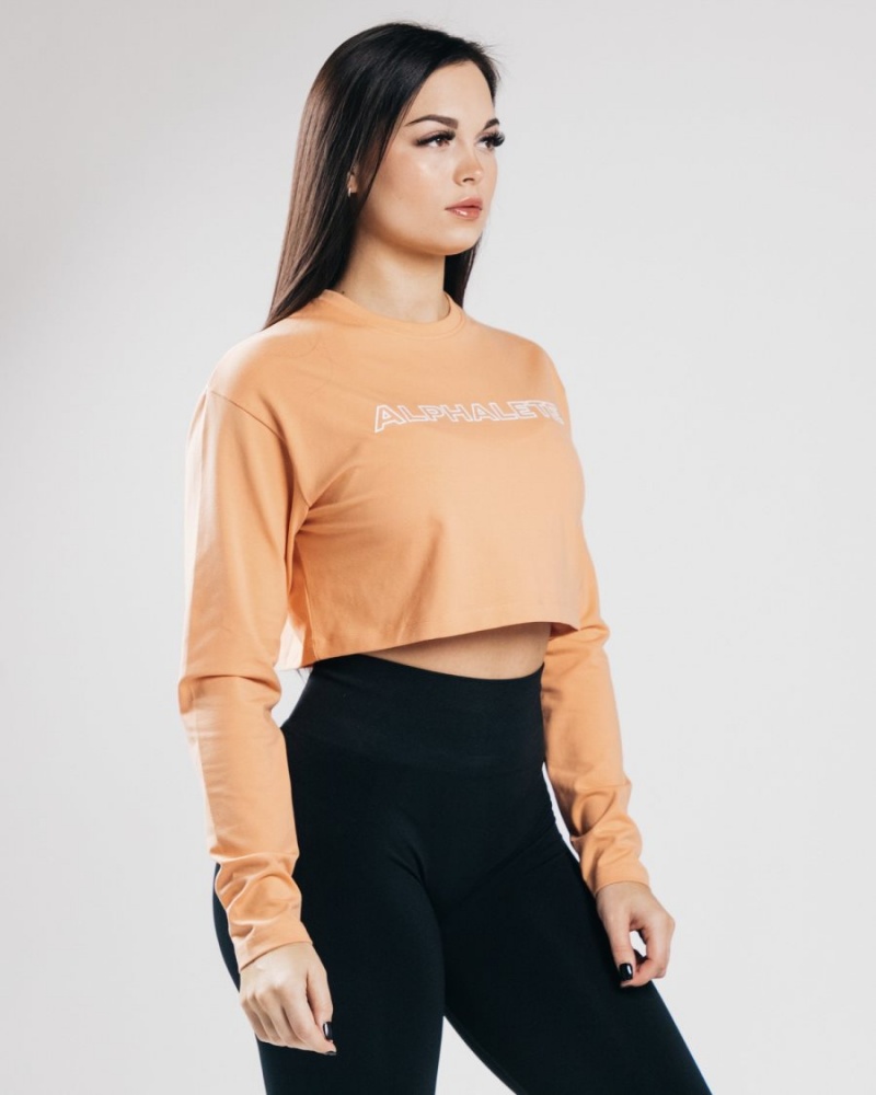 Manches Longues Alphalete Outlined Long Sleeve Crop Orange Femme | ALR-25302766