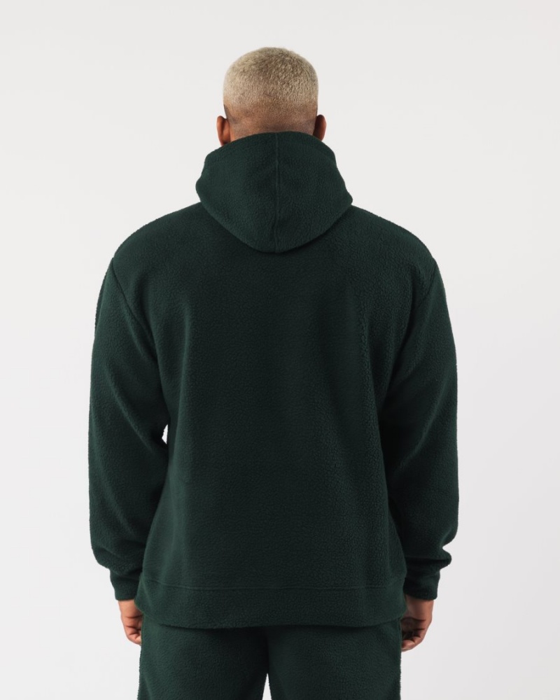 Sweat a Capuche Alphalete King Hoodie Evergreen Homme | FEO-92882294