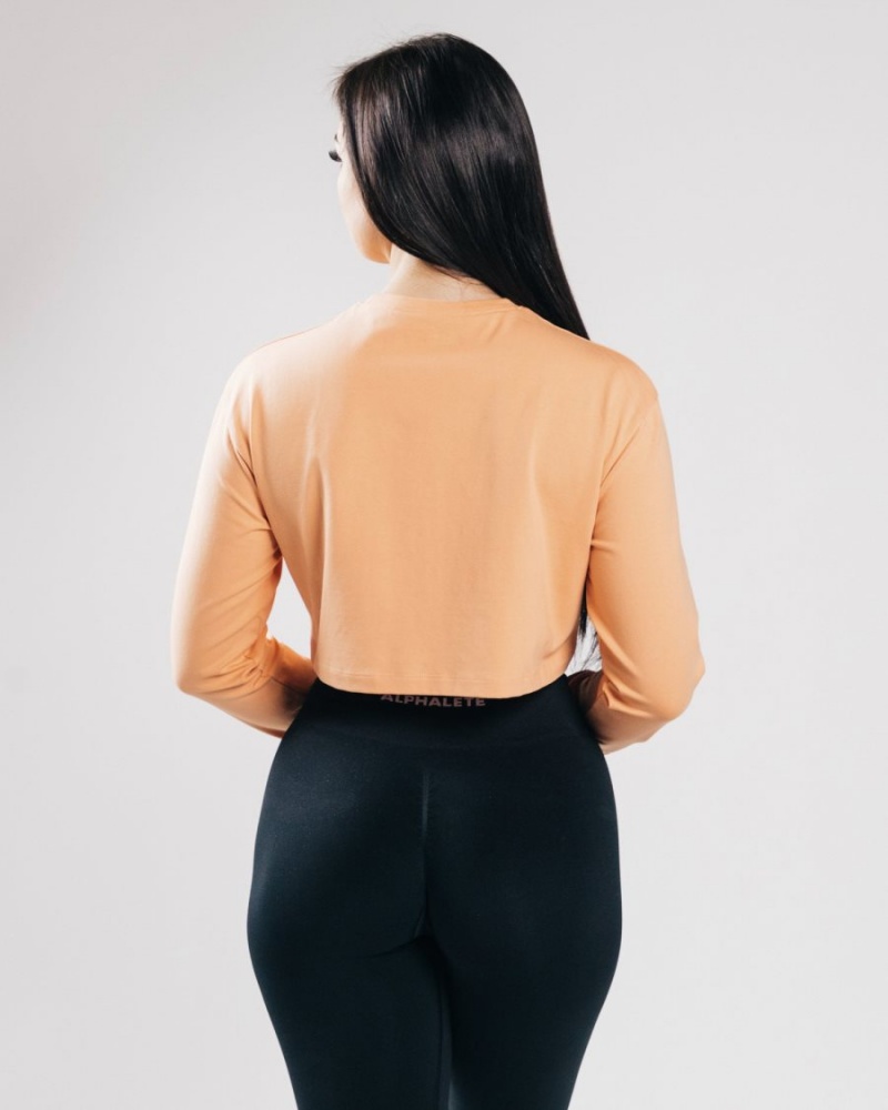 Manches Longues Alphalete Outlined Long Sleeve Crop Orange Femme | ALR-25302766