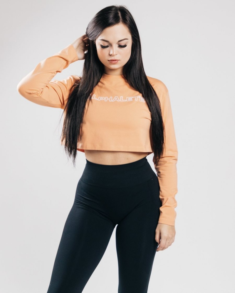 Manches Longues Alphalete Outlined Long Sleeve Crop Orange Femme | ALR-25302766