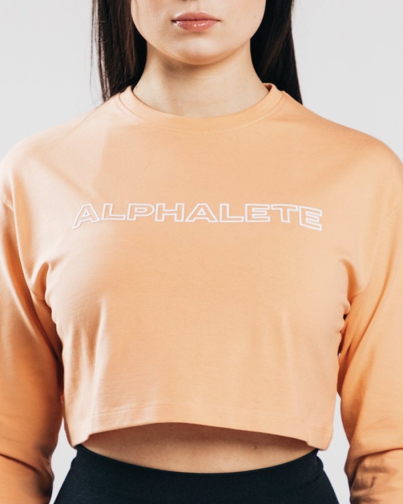 Manches Longues Alphalete Outlined Long Sleeve Crop Orange Femme | ALR-25302766