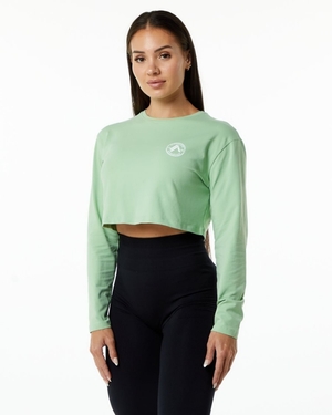 Manches Longues Alphalete Dynasty LS Crop Pistachio Femme | TKH-38713117