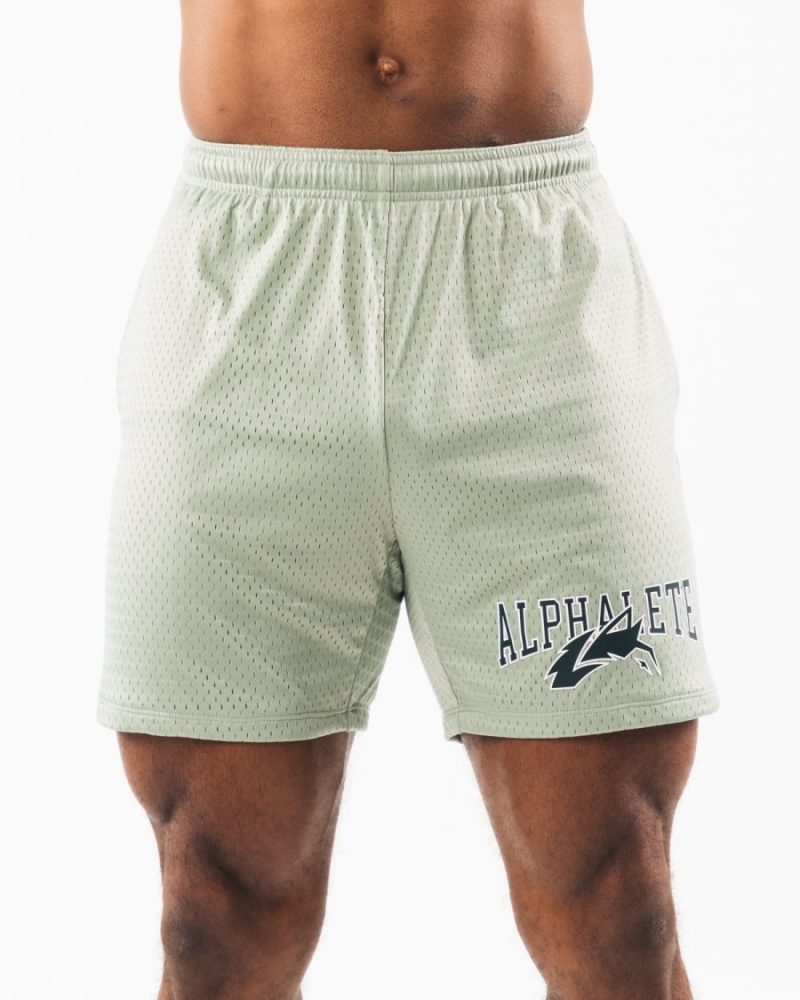 Short Alphalete Wolf Head Mesh Corta 6" Sage Homme | UUW-42664550