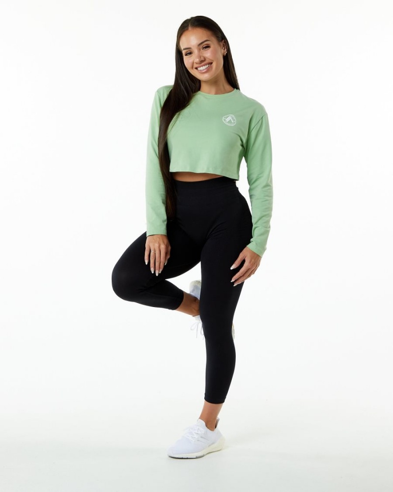 Manches Longues Alphalete Dynasty LS Crop Pistachio Femme | TKH-38713117