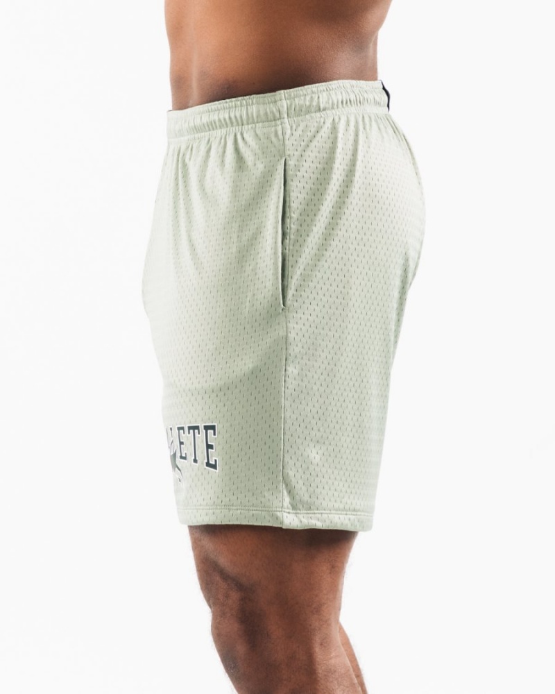 Short Alphalete Wolf Head Mesh Corta 6" Sage Homme | UUW-42664550