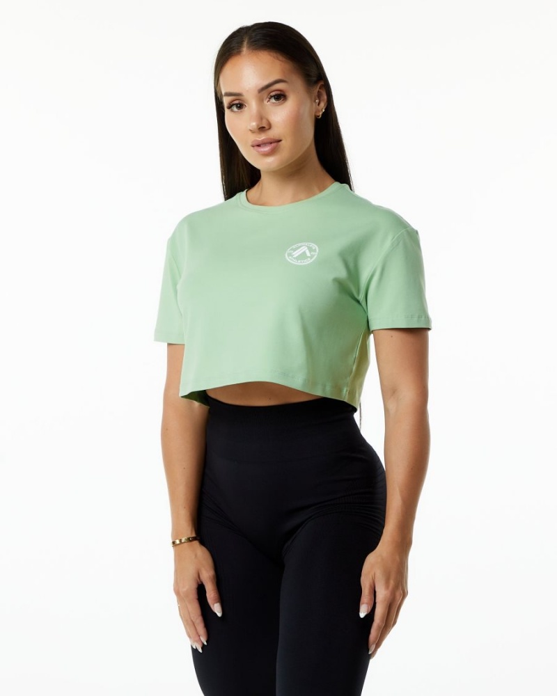 Chemises Alphalete Dynasty Crop Pistachio Femme | QQY-82155008