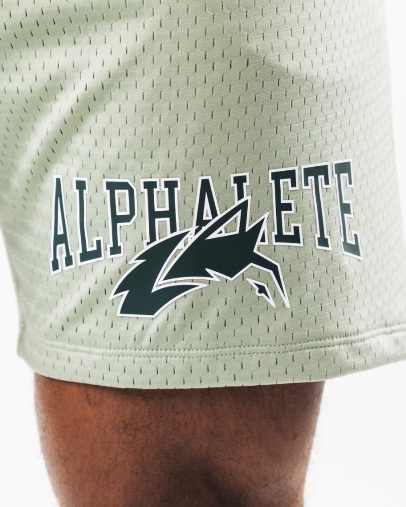 Short Alphalete Wolf Head Mesh Corta 6" Sage Homme | UUW-42664550