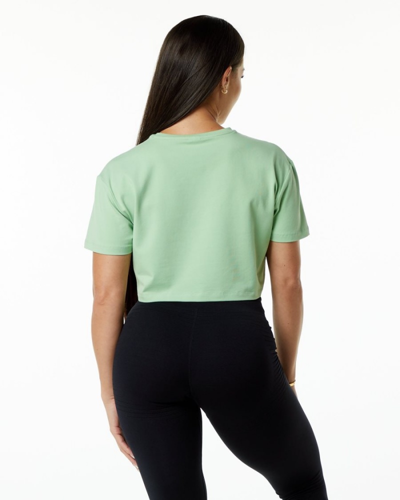 Chemises Alphalete Dynasty Crop Pistachio Femme | QQY-82155008