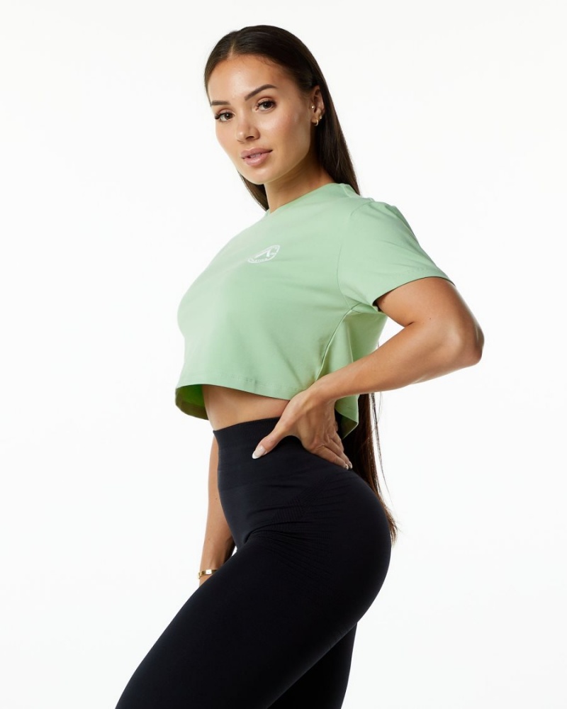 Chemises Alphalete Dynasty Crop Pistachio Femme | QQY-82155008