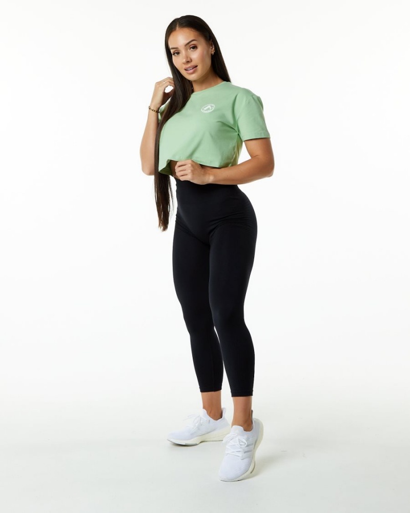 Chemises Alphalete Dynasty Crop Pistachio Femme | QQY-82155008