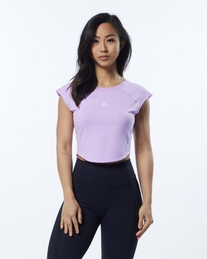 Chemises Alphalete Velocity Crop Tee Lavande Femme | UCR-11786418