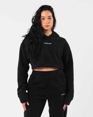 Sweat a Capuche Alphalete King Crop Hoodie Noir Femme | ACQ-94874724