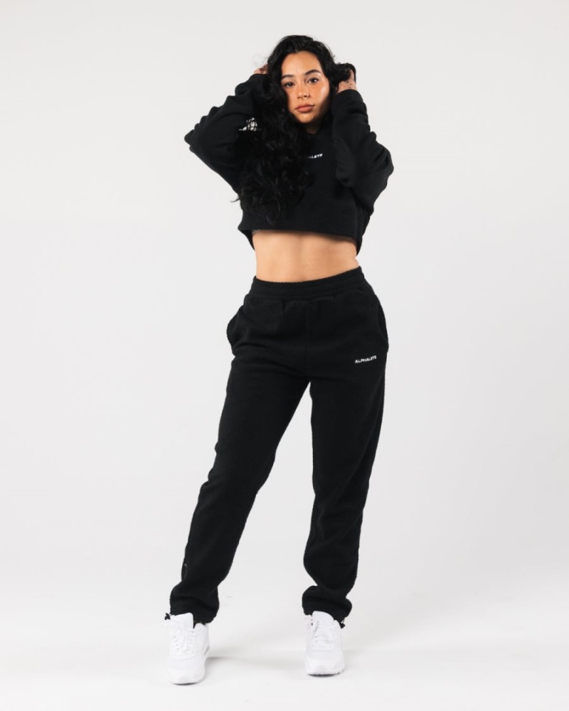 Sweat a Capuche Alphalete King Crop Hoodie Noir Femme | ACQ-94874724