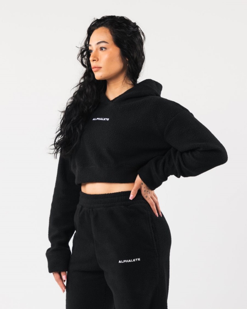 Sweat a Capuche Alphalete King Crop Hoodie Noir Femme | ACQ-94874724