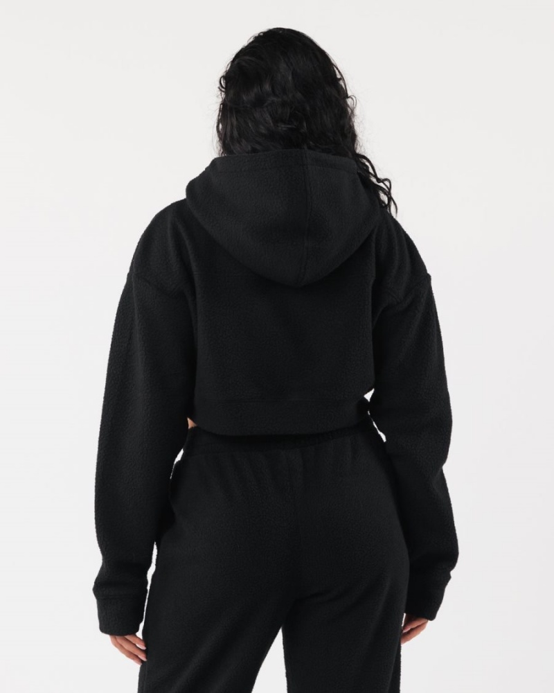 Sweat a Capuche Alphalete King Crop Hoodie Noir Femme | ACQ-94874724