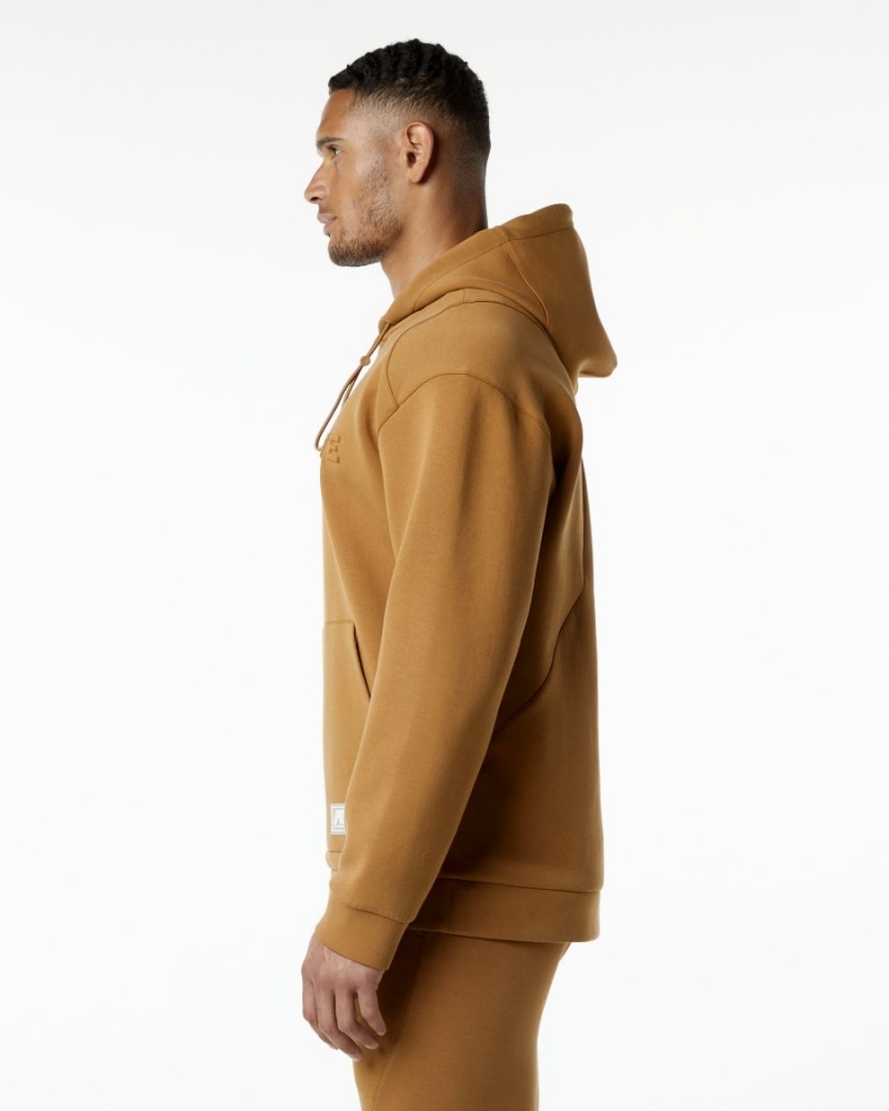 Sweat a Capuche Alphalete ELMTS Hoodie Almond Homme | ABC-29330656