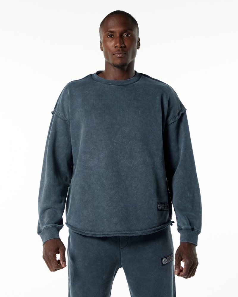 Vestes Alphalete Very Terry Pullover Bleu Homme | APY-54049589