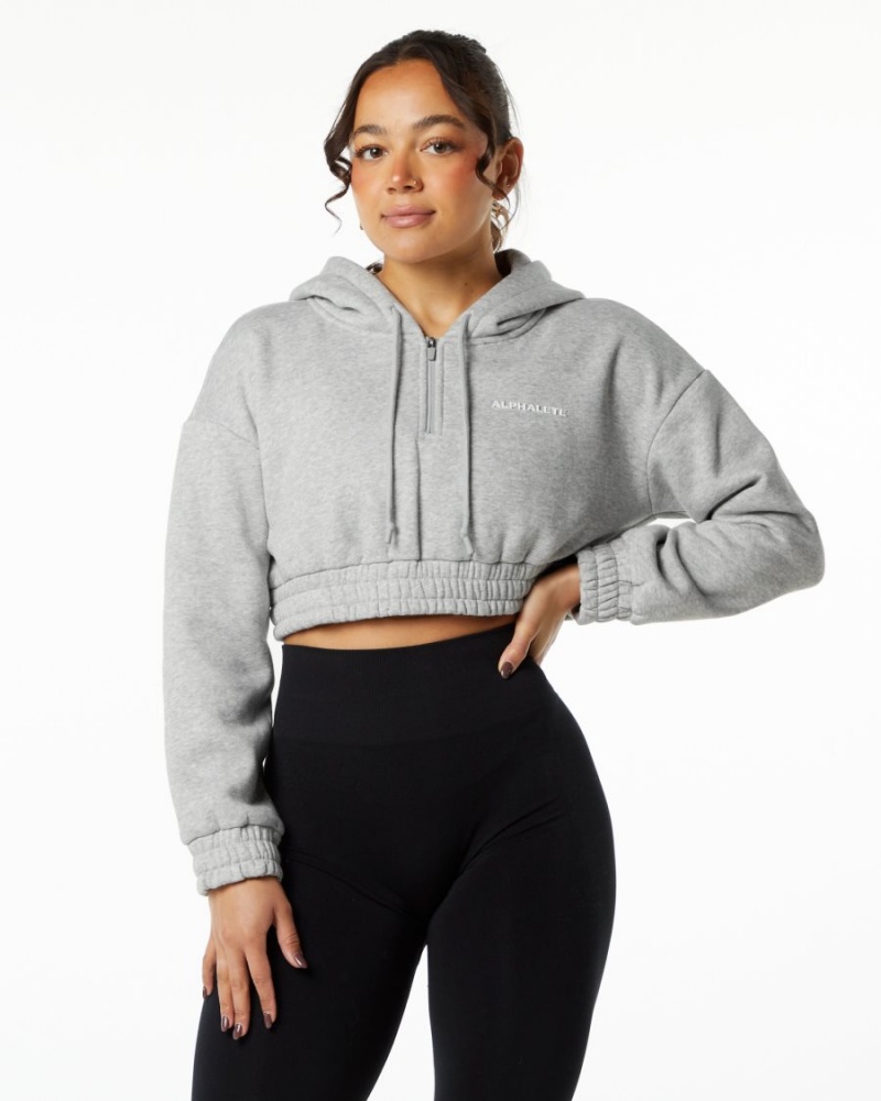 Sweat a Capuche Alphalete Classiche Capital Crop Hoodie Grise Femme | WMS-70836311