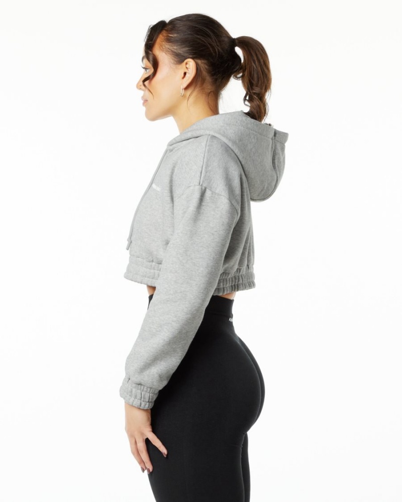 Sweat a Capuche Alphalete Classiche Capital Crop Hoodie Grise Femme | WMS-70836311