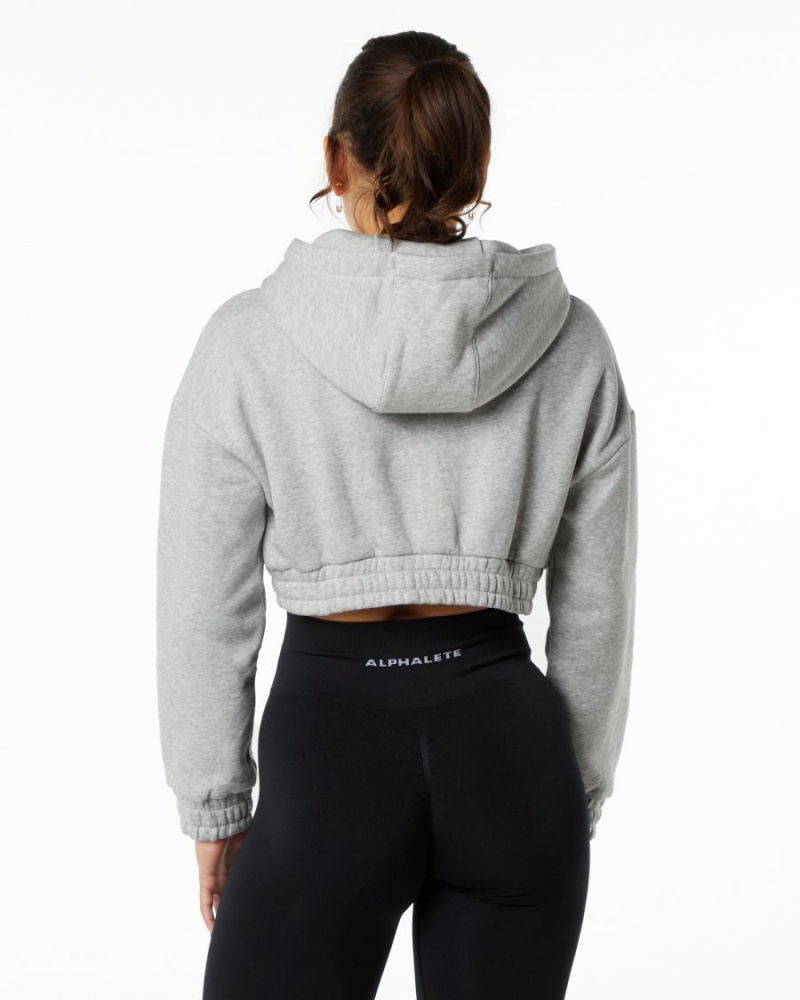 Sweat a Capuche Alphalete Classiche Capital Crop Hoodie Grise Femme | WMS-70836311