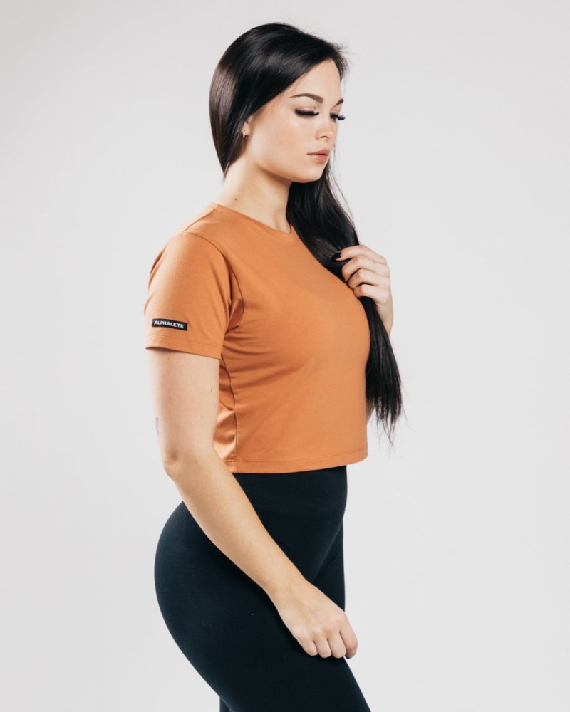 Chemises Alphalete Essential Corta Sleeve Crop Clay Femme | TGG-65398822