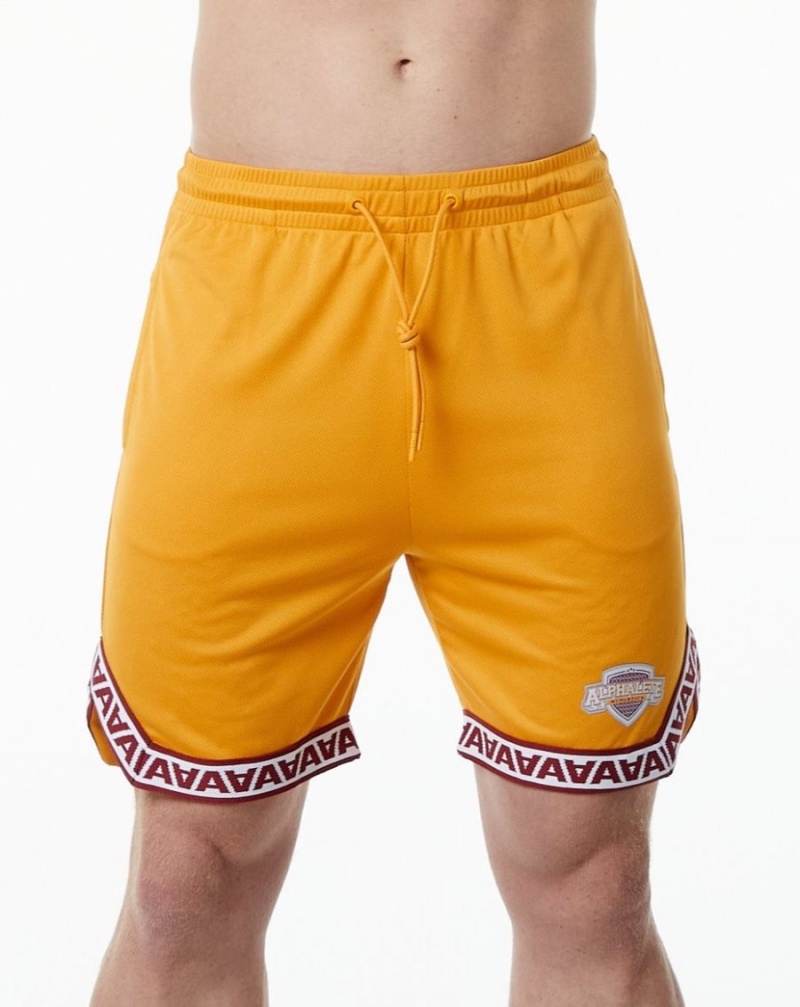 Short Alphalete Varsity Basketball Corta 9" Marigold Homme | THT-24019781