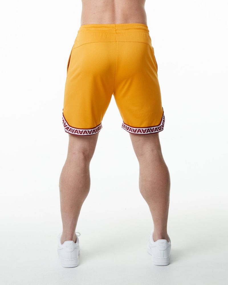 Short Alphalete Varsity Basketball Corta 9" Marigold Homme | THT-24019781