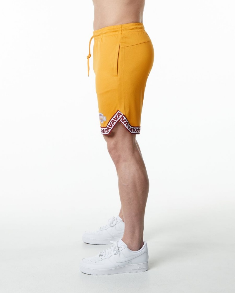 Short Alphalete Varsity Basketball Corta 9" Marigold Homme | THT-24019781