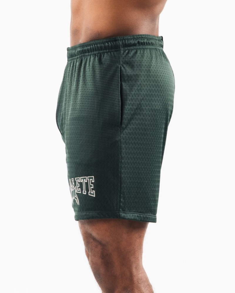 Short Alphalete Wolf Head Mesh Corta 6" Evergreen Homme | MAF-93224503