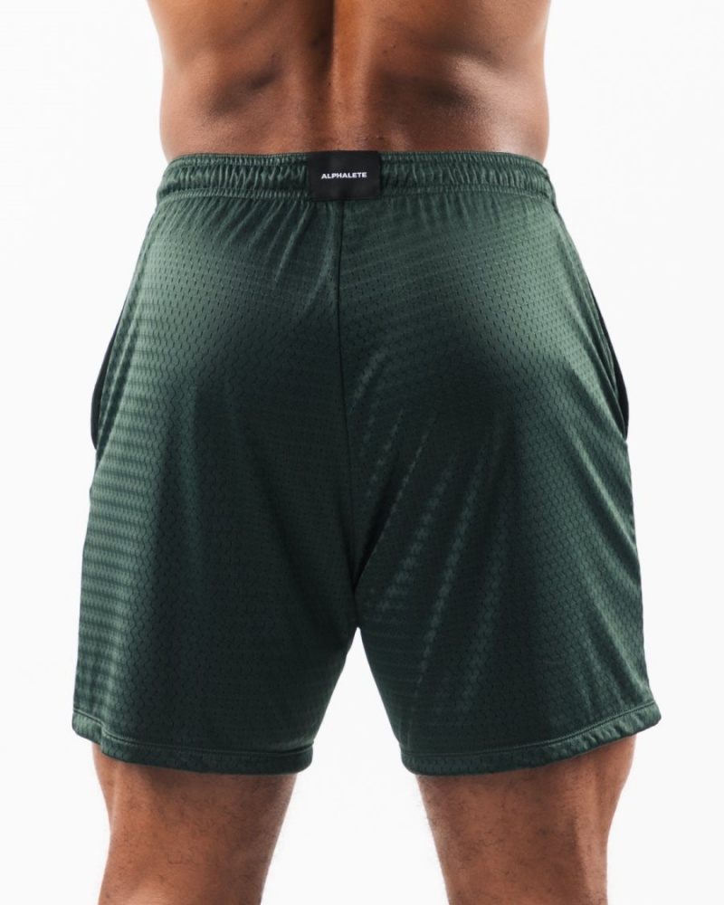 Short Alphalete Wolf Head Mesh Corta 6" Evergreen Homme | MAF-93224503