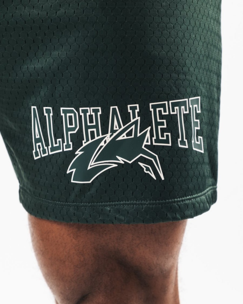 Short Alphalete Wolf Head Mesh Corta 6" Evergreen Homme | MAF-93224503