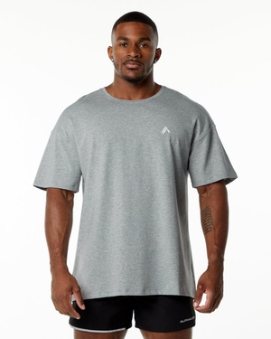 Chemises Alphalete Emblem Tee Grise Homme | JTF-18791666