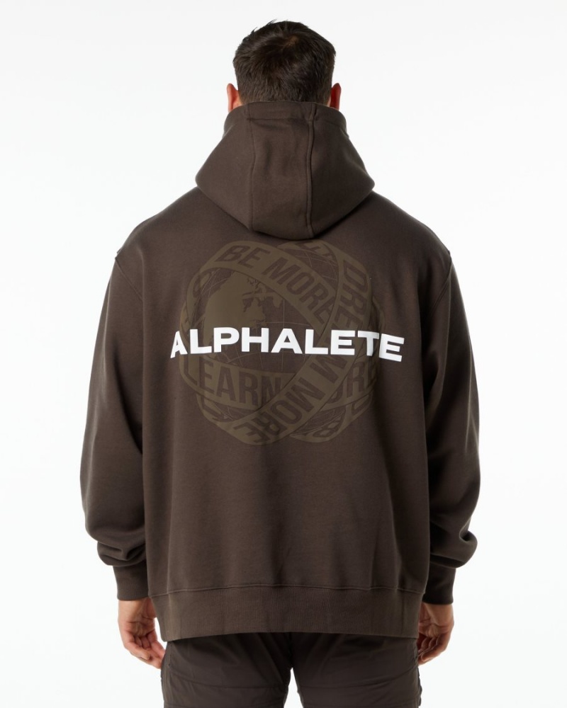 Sweat a Capuche Alphalete Unity Hoodie Marron Homme | IHM-06120757