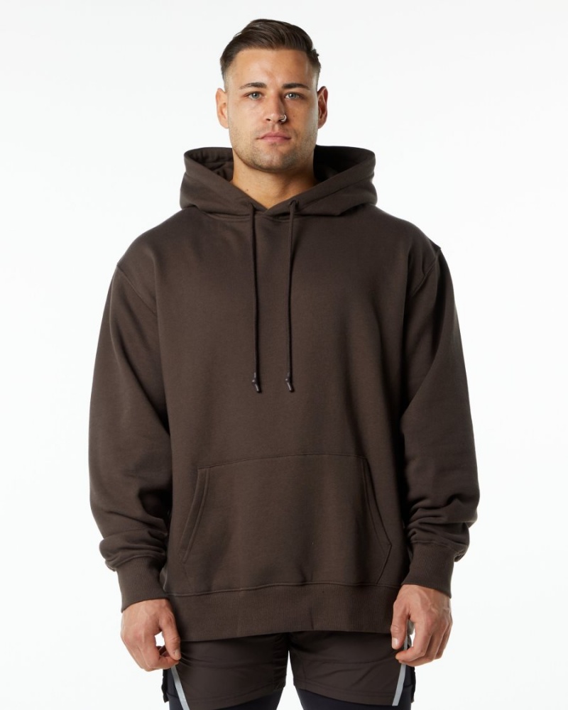 Sweat a Capuche Alphalete Unity Hoodie Marron Homme | IHM-06120757