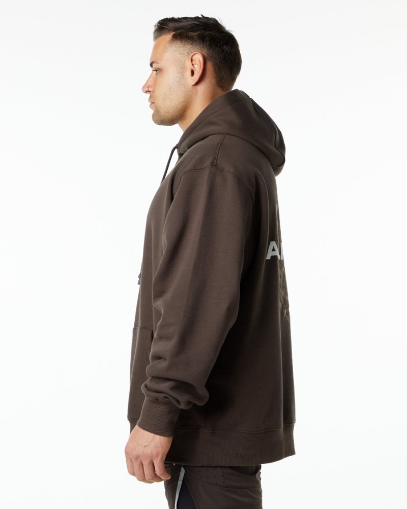 Sweat a Capuche Alphalete Unity Hoodie Marron Homme | IHM-06120757