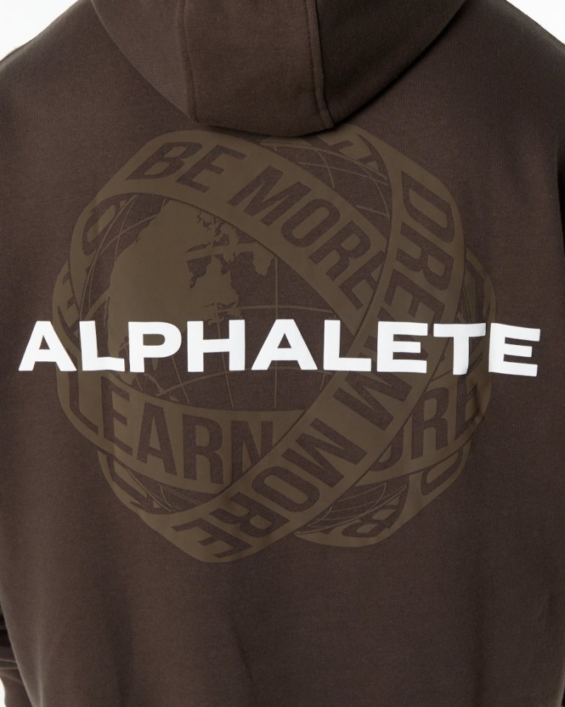 Sweat a Capuche Alphalete Unity Hoodie Marron Homme | IHM-06120757