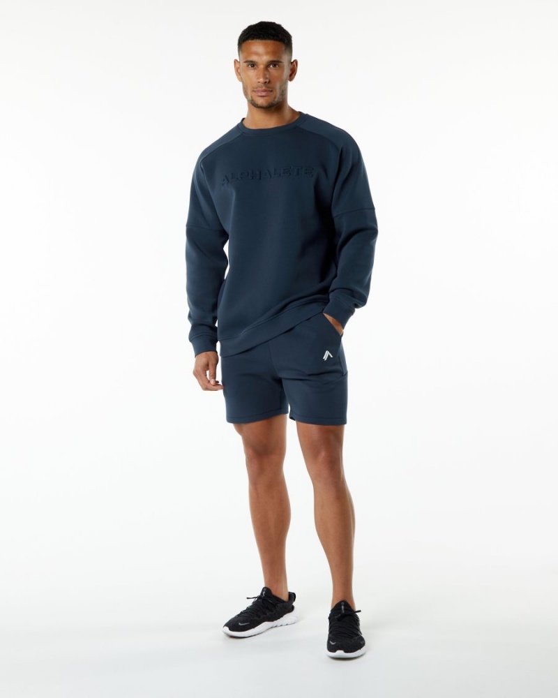 Vestes Alphalete ELMTS Crewneck Pull Bleu Marine Homme | ANS-42128839