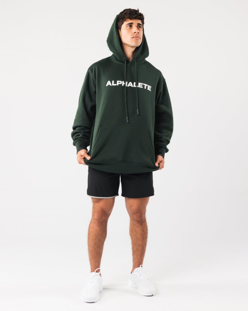 Sweat a Capuche Alphalete Core Hoodie Evergreen Homme | MOL-99350470