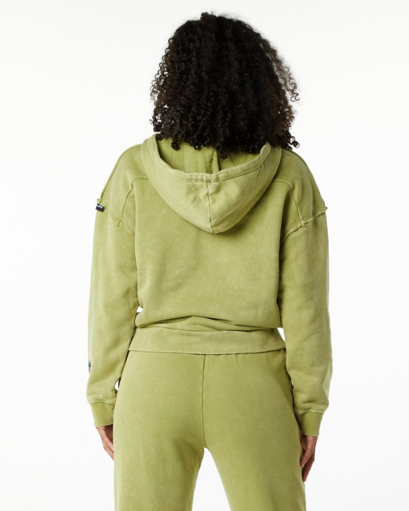 Sweat a Capuche Alphalete Very Terry Hoodie Vert Femme | KLU-26917049